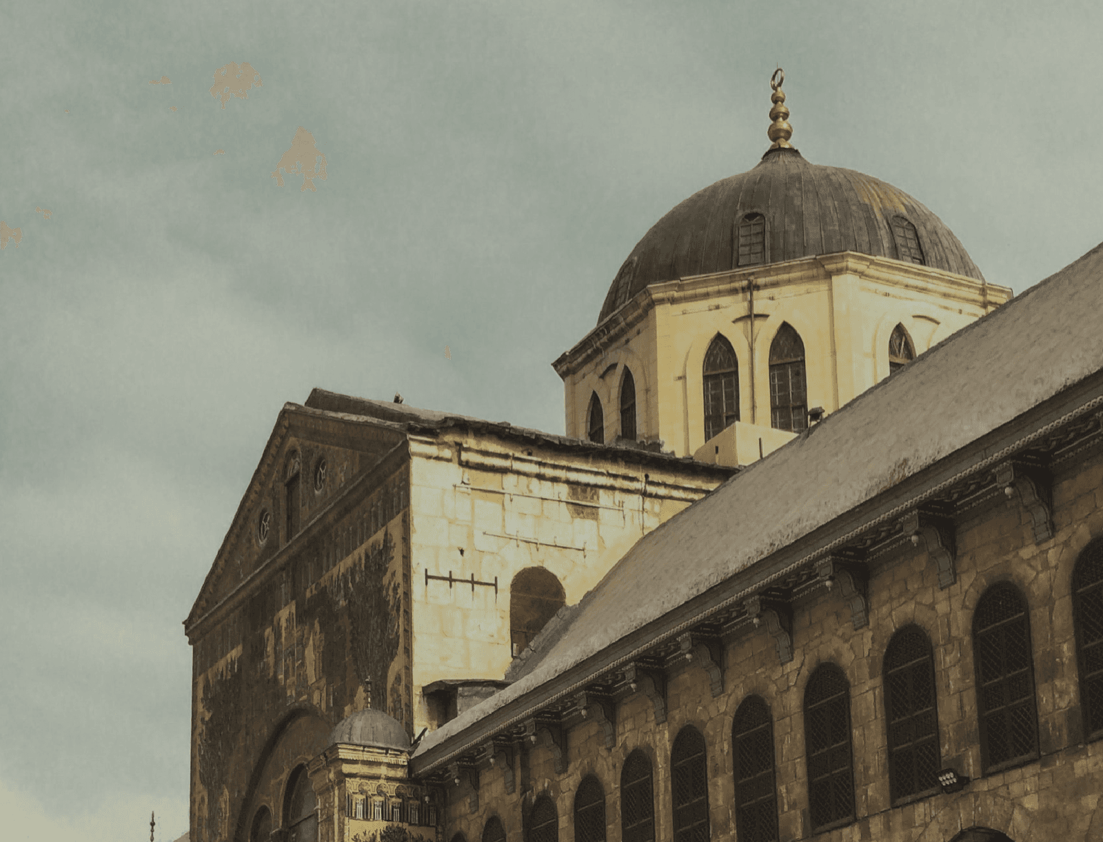 لقطة - صورة من حياة ابن تيمية